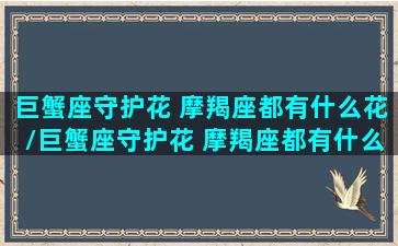 巨蟹座守护花 摩羯座都有什么花/巨蟹座守护花 摩羯座都有什么花-我的网站